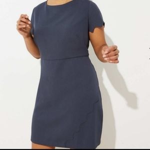 LOFT Plus steel gray scallop sleeve sheath dress sz 22